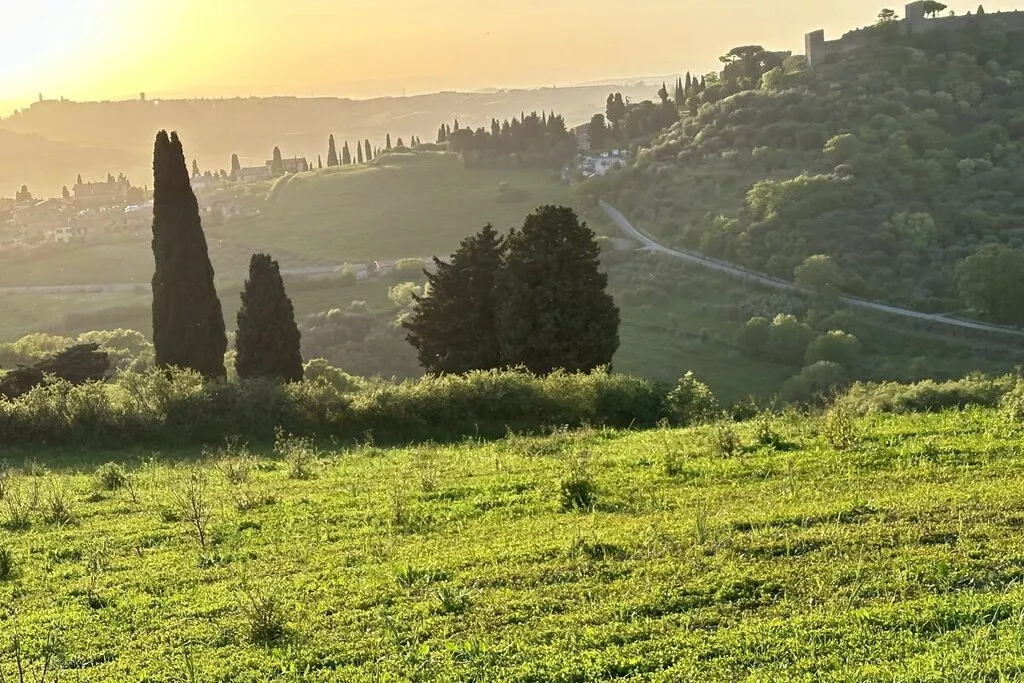 539356-Nicht zugeordnet