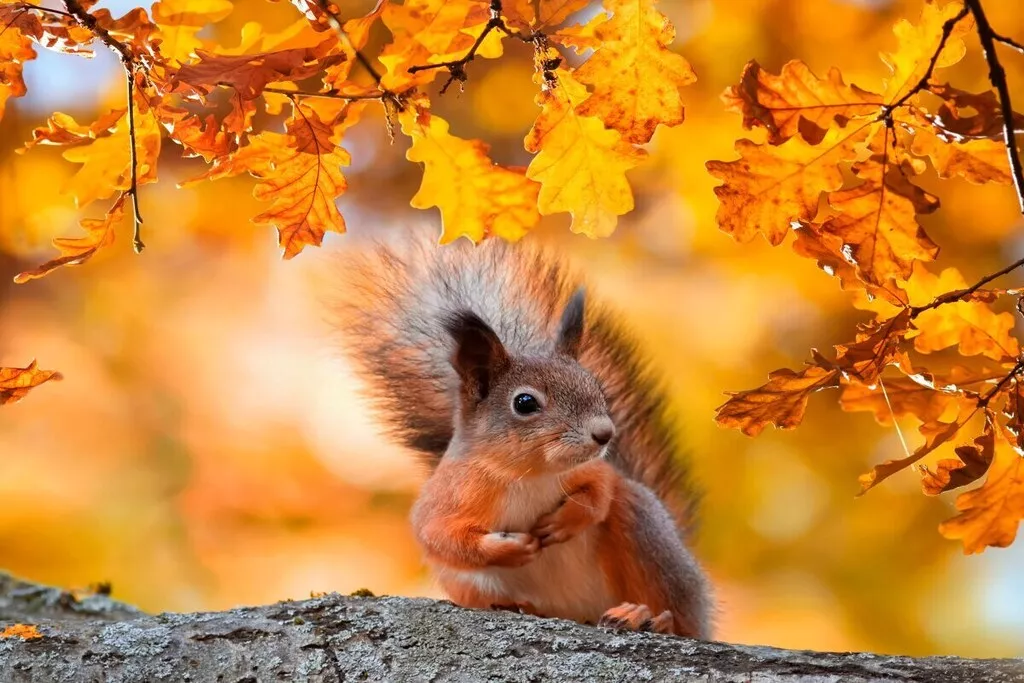 581116-Nicht zugeordnet