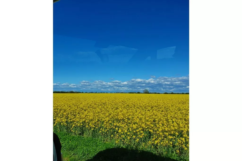 342317-Nicht zugeordnet