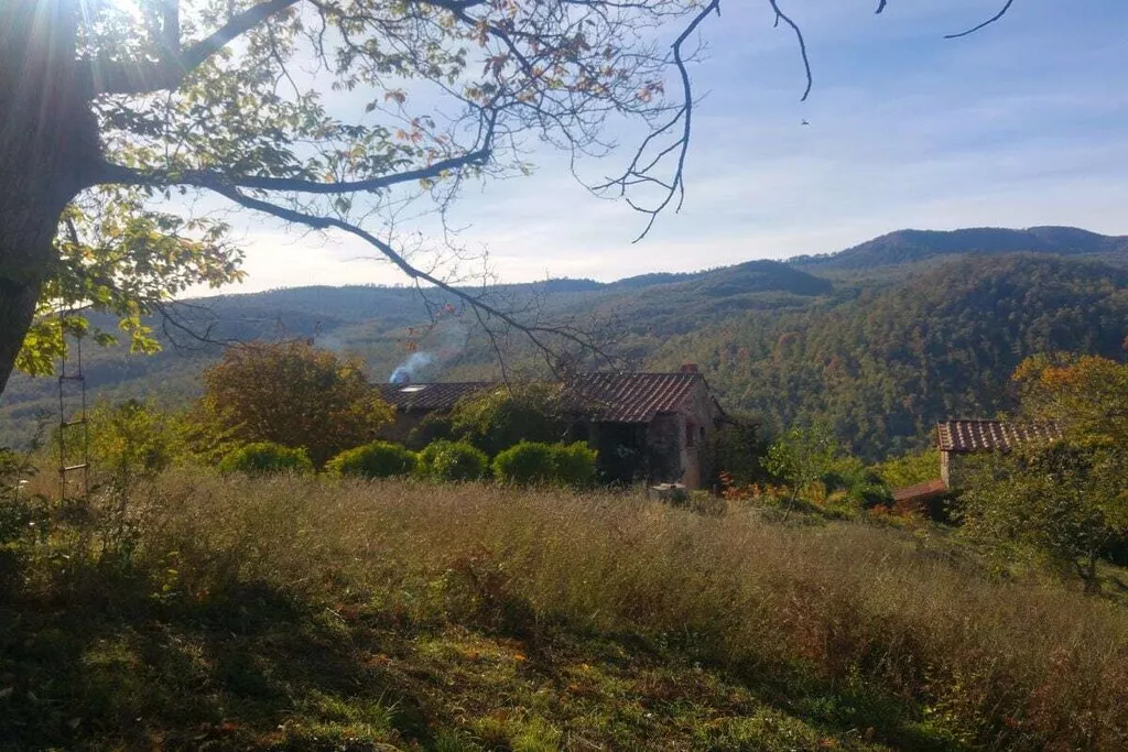 29689-Nicht zugeordnet