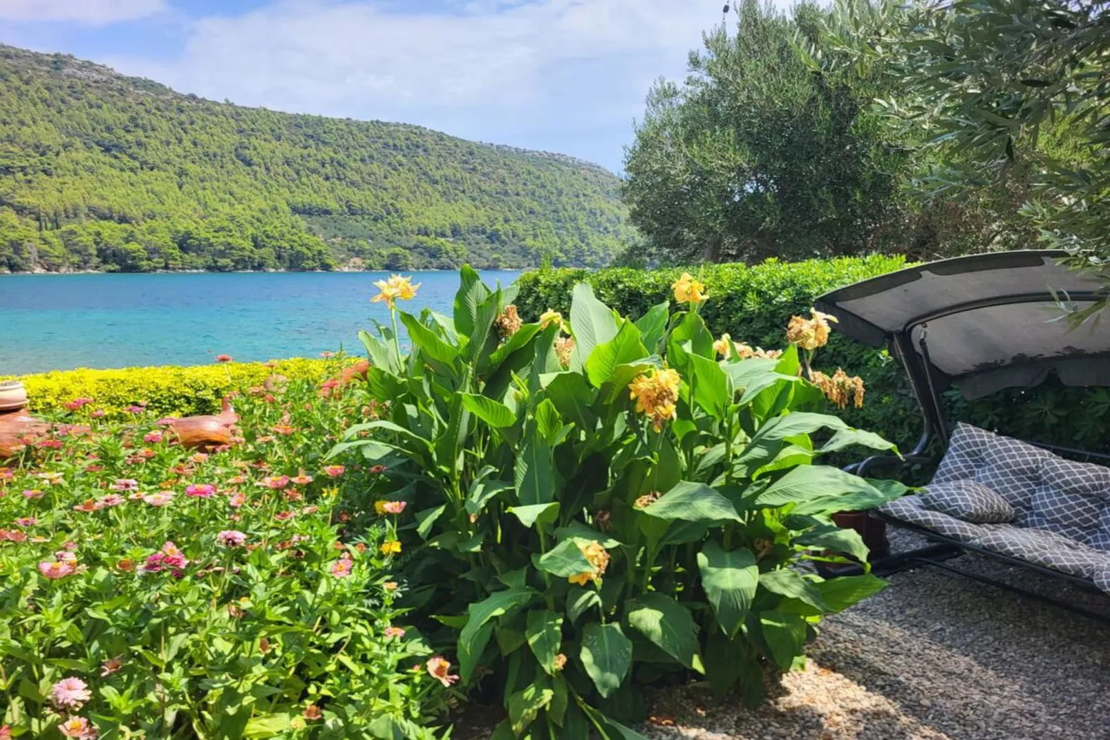 Four bedroom apartment-Outdoor