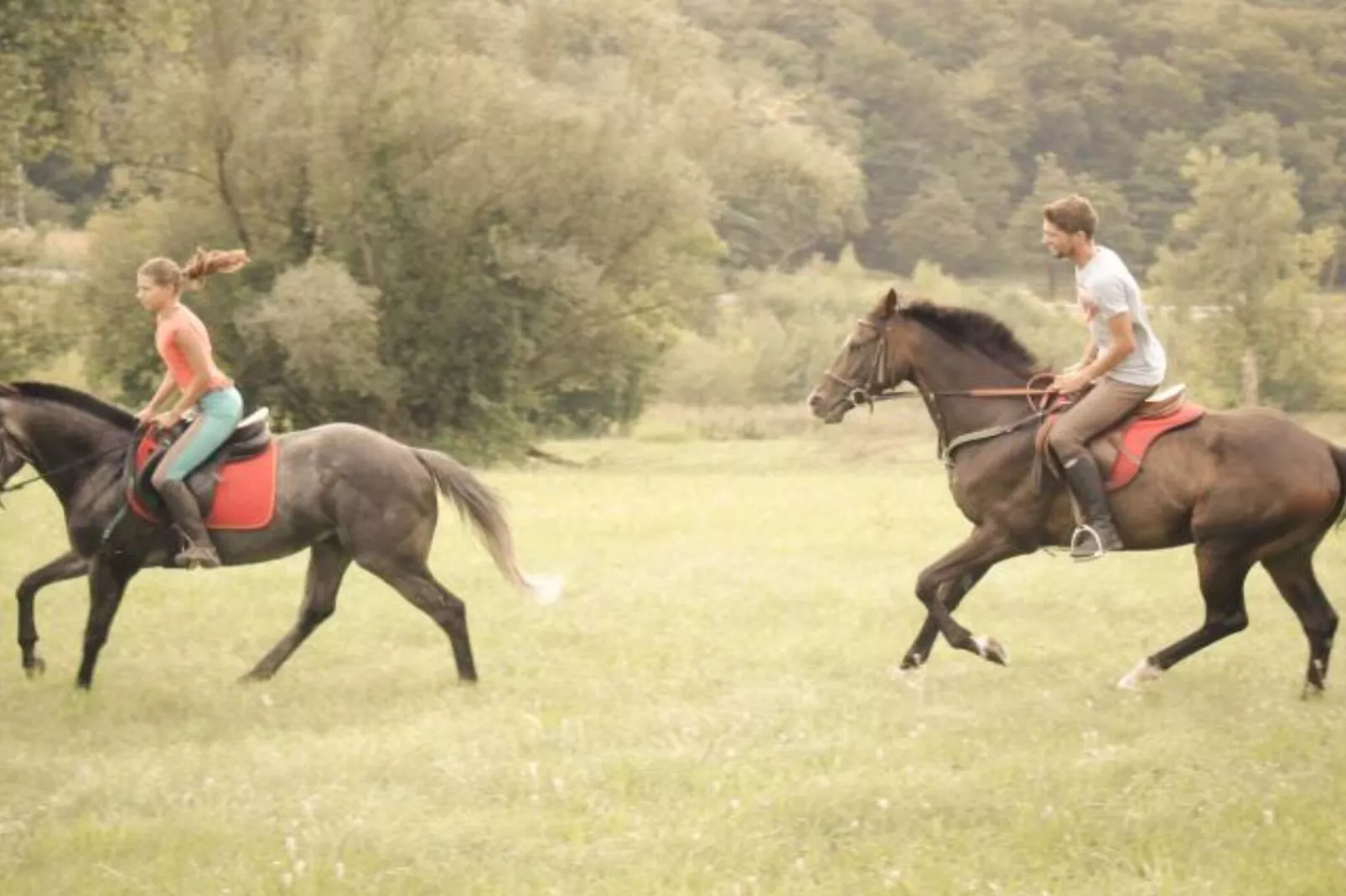 Zevnik Quiet Retreat with Stunning Views and Equestrian Activities - One Bedroom Apartment-Outdoor