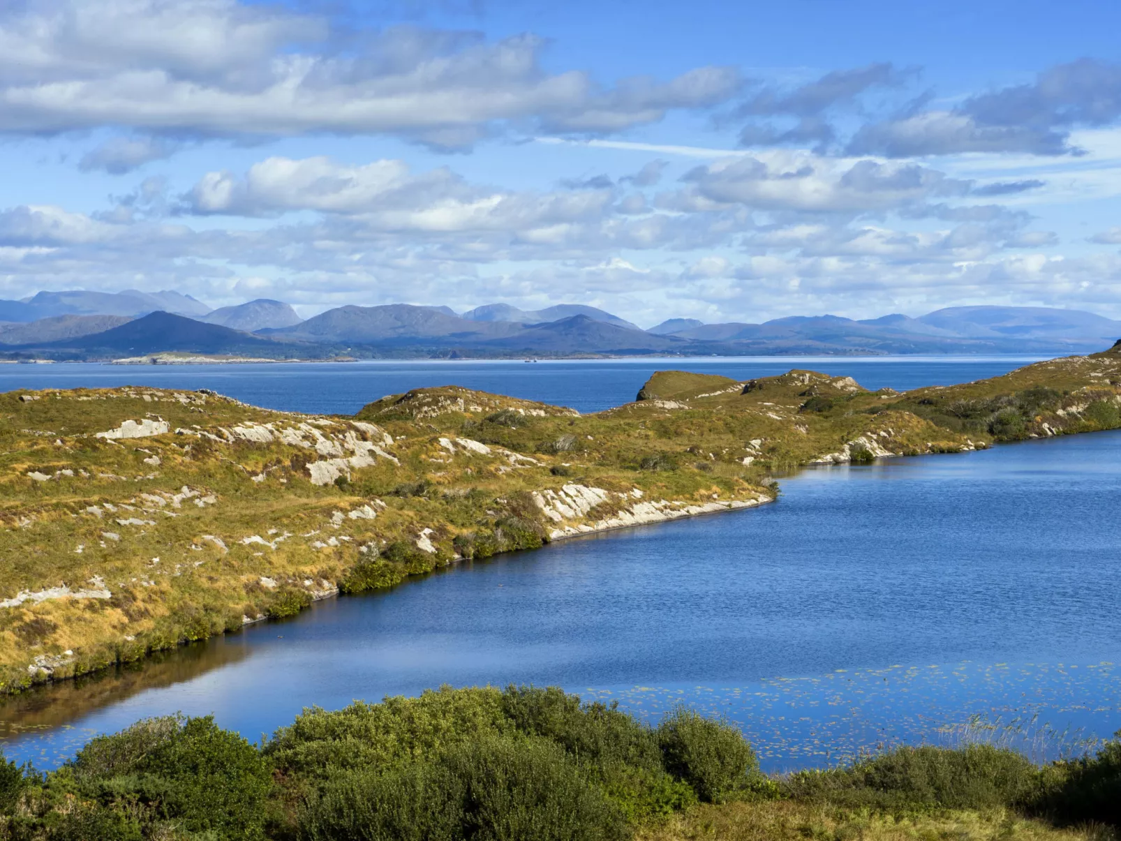 Grove Lodge No 5 (2 Bed)-Dehors