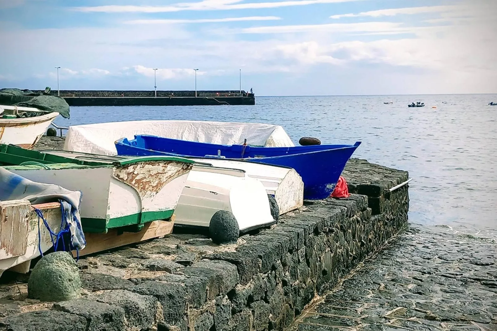 Delfin 101B 1d-Gebiet Winter 5 km