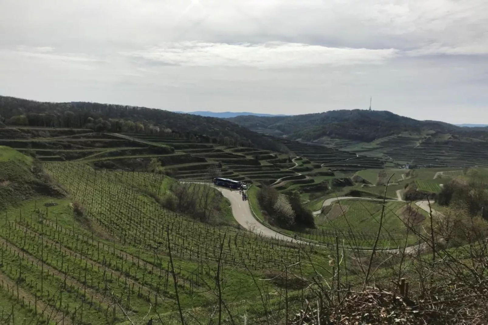 Luxuriöses Wohnen im historischen Haus-Zones été à 5 km