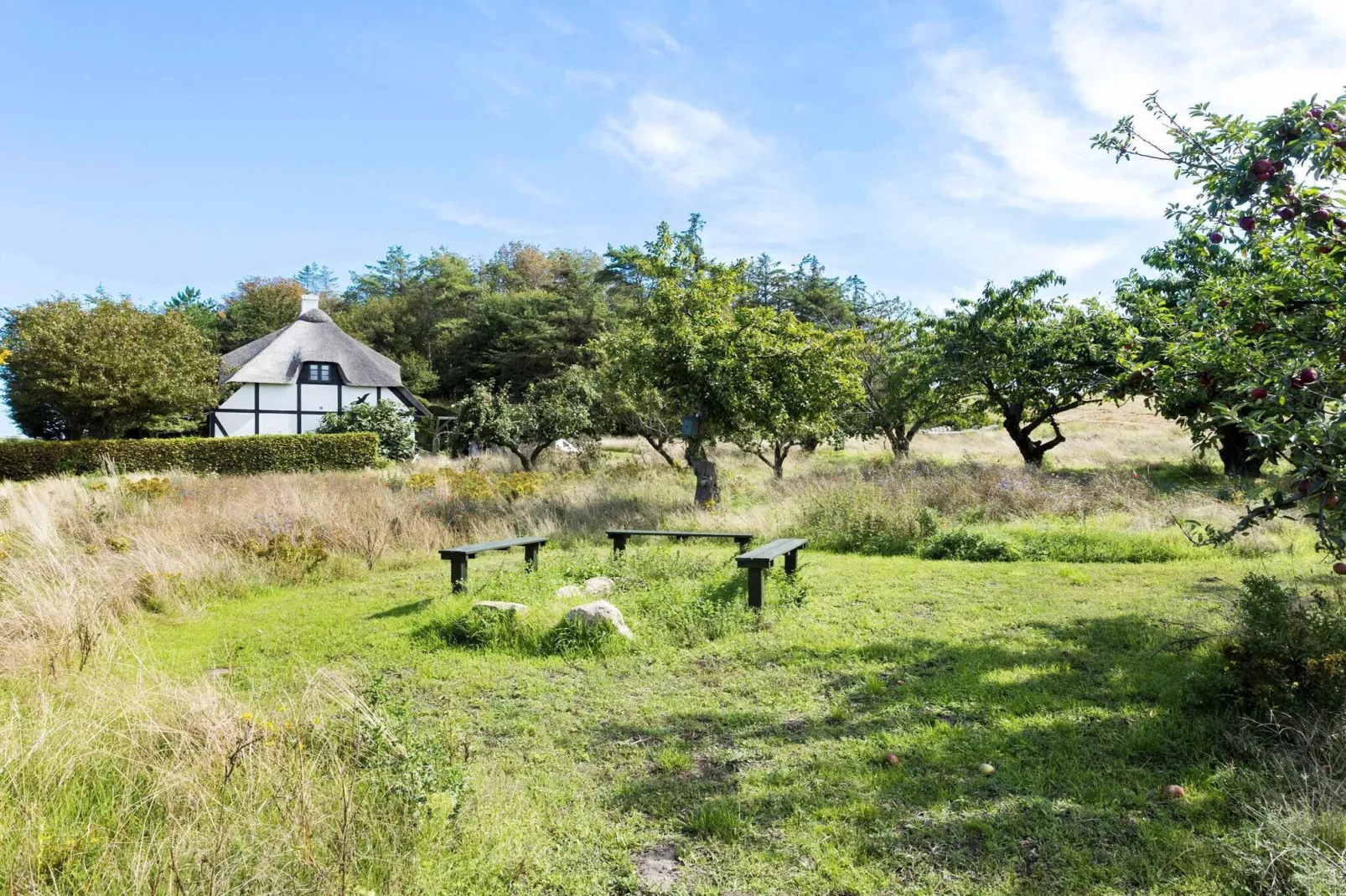 5 Sterne Ferienhaus in Bagenkop-Aussicht