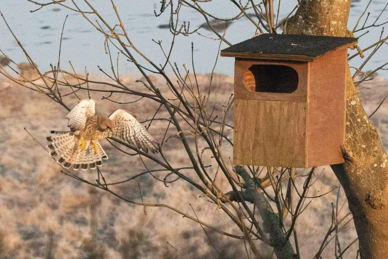 5 etoiles maison de vacances a Holbæk-Non tagué