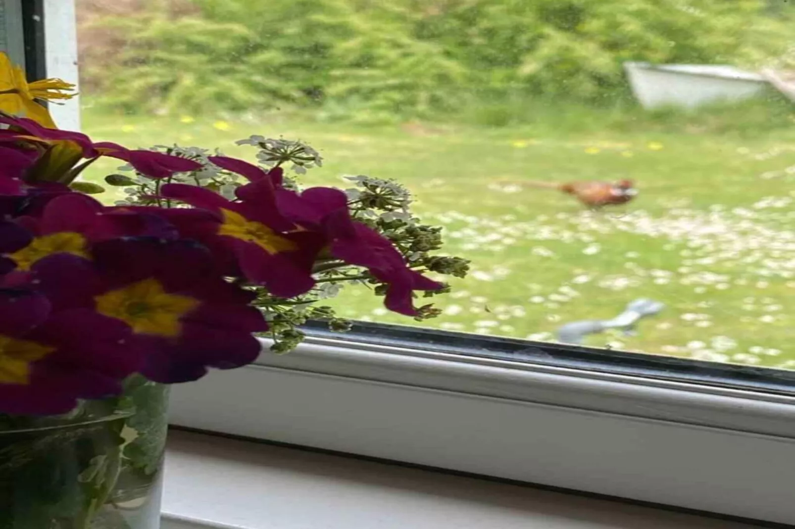 5 star holiday home in Orø-View