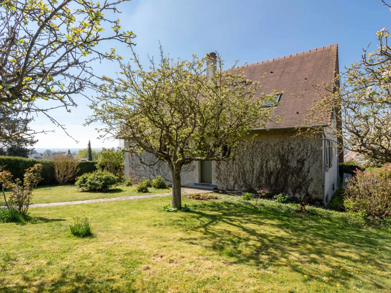 Les Jonquilles-Draußen