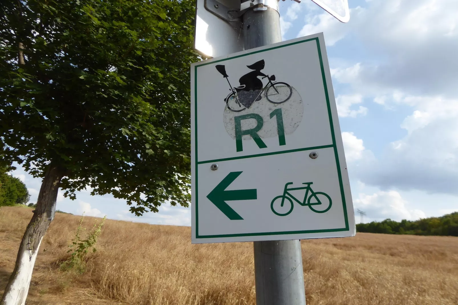 Teufelsmauerblick-Areas within 1km in summer