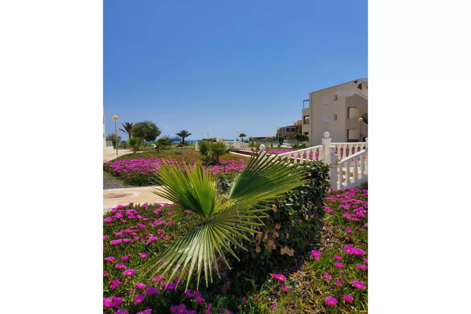 CT 369 AL - Faro's Apartmento Naturista - Primera Linea Vera Playa-Jardins en été