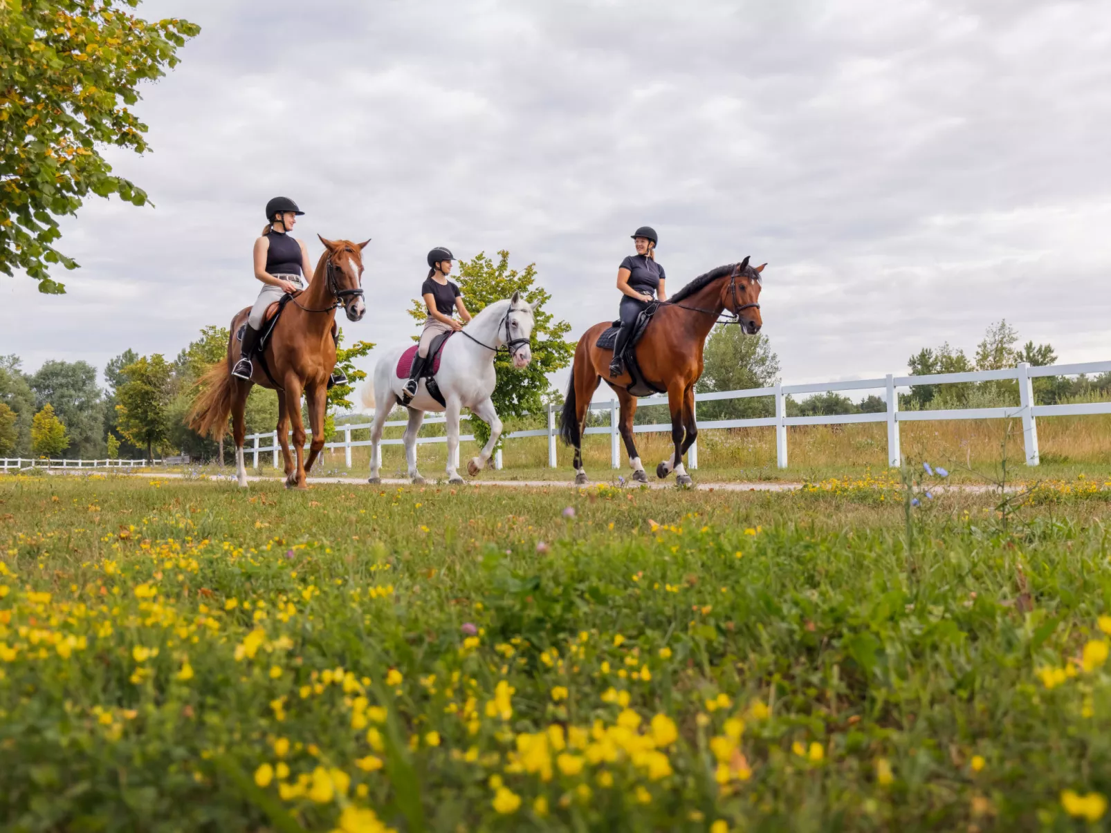 Vila Breg 2-Umgebung