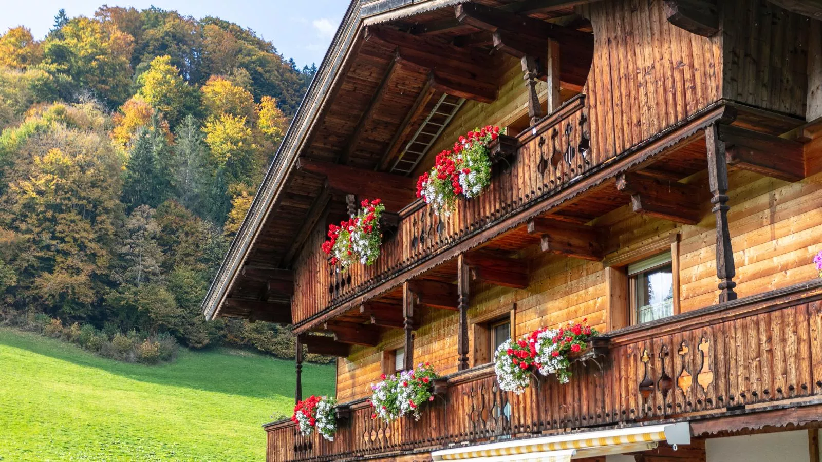 Tiroler Bergtraum Top 1 und 2-Extérieur été