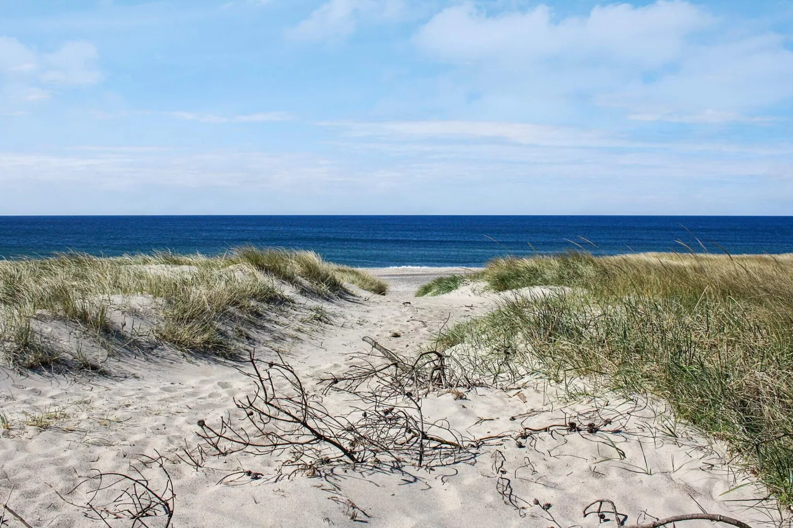 4 Sterne Ferienhaus in Harboøre-Aussicht