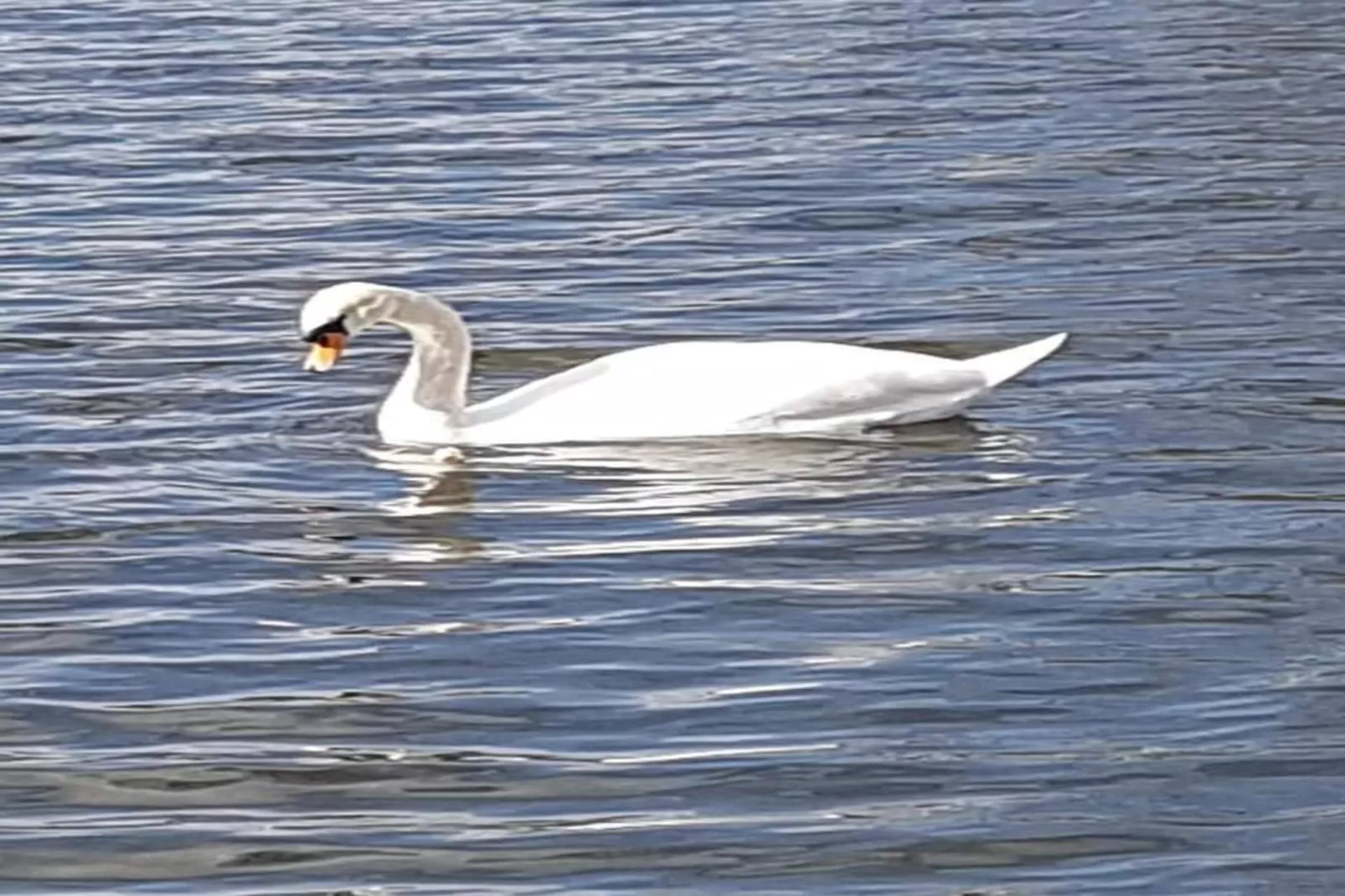 Hausboot in Zehdenick-Zones été à 20 km