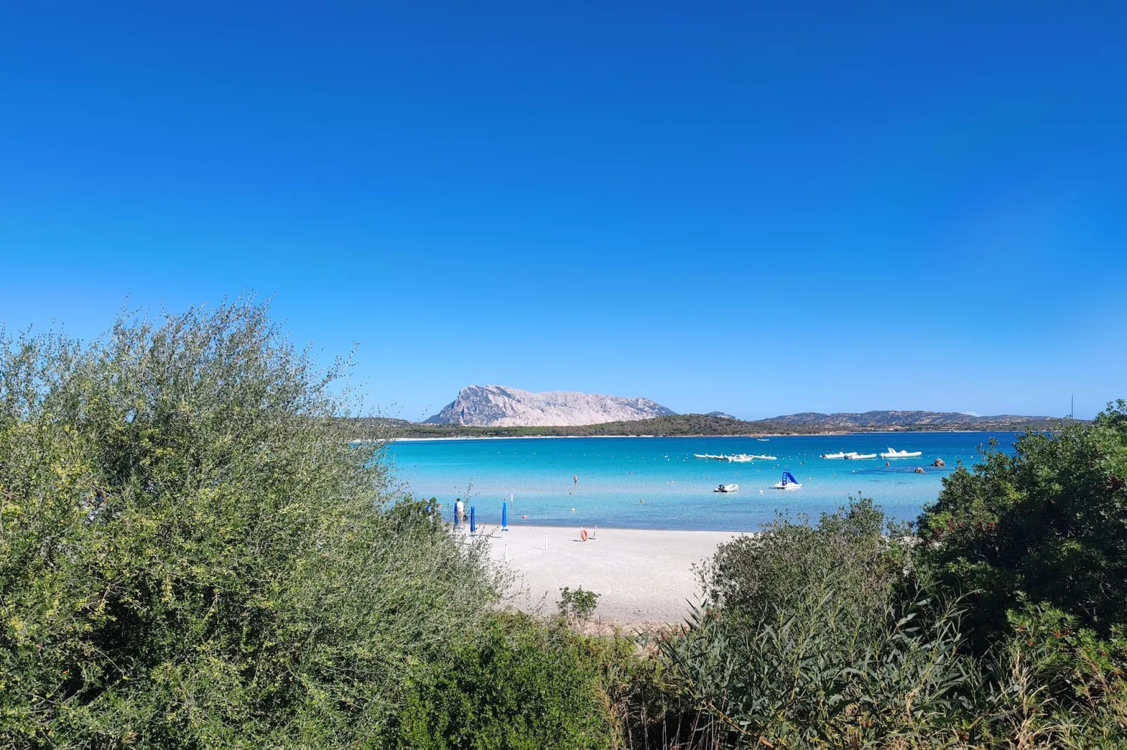 Residenza L'Oasi-Areas within 20km in summer