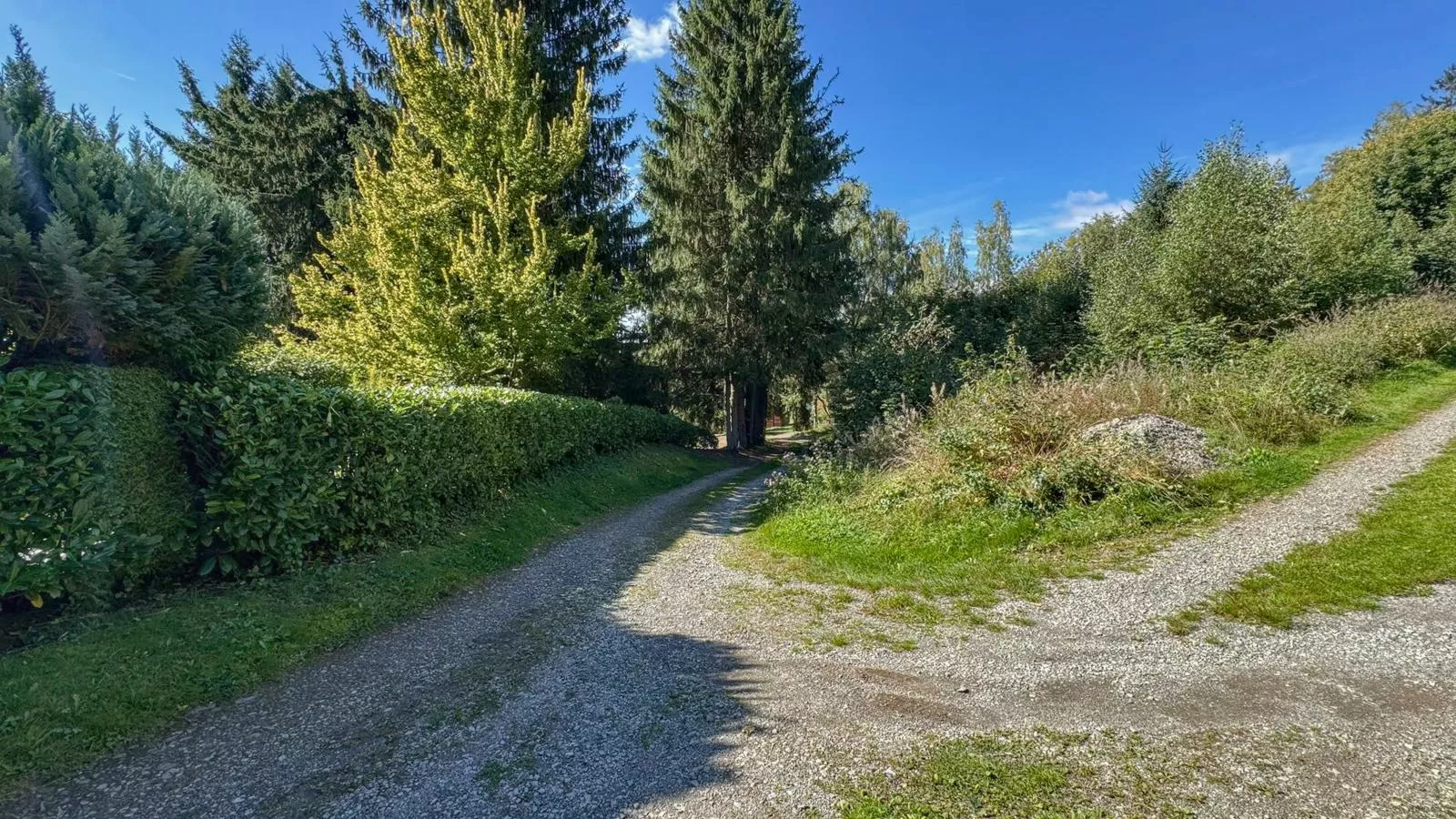 Am Arnsberg-Aussicht Sommer