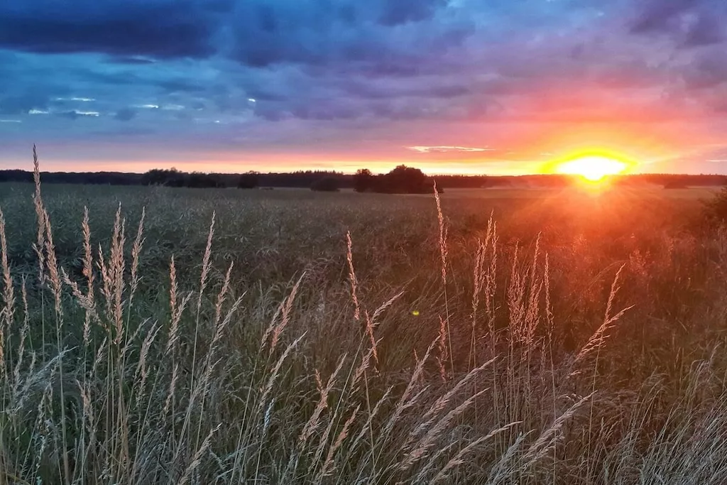 340916-Nicht zugeordnet
