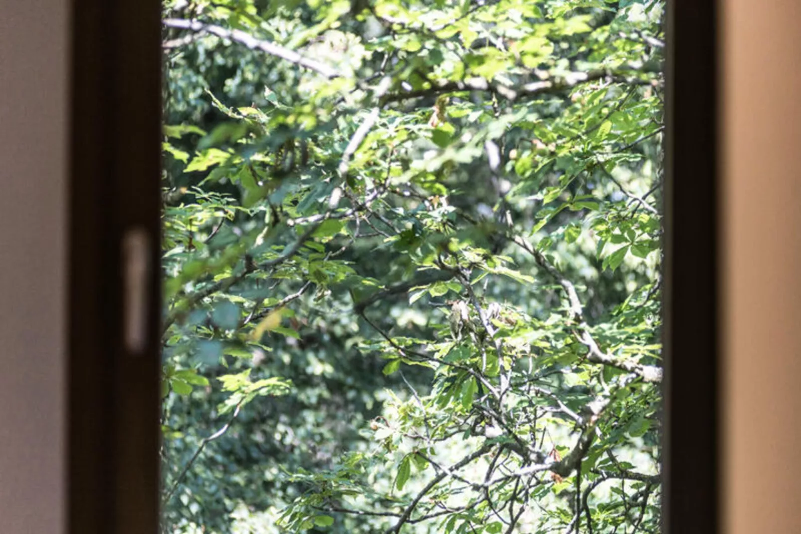 Maison à Sant Hilari Sacalm-Non tagué