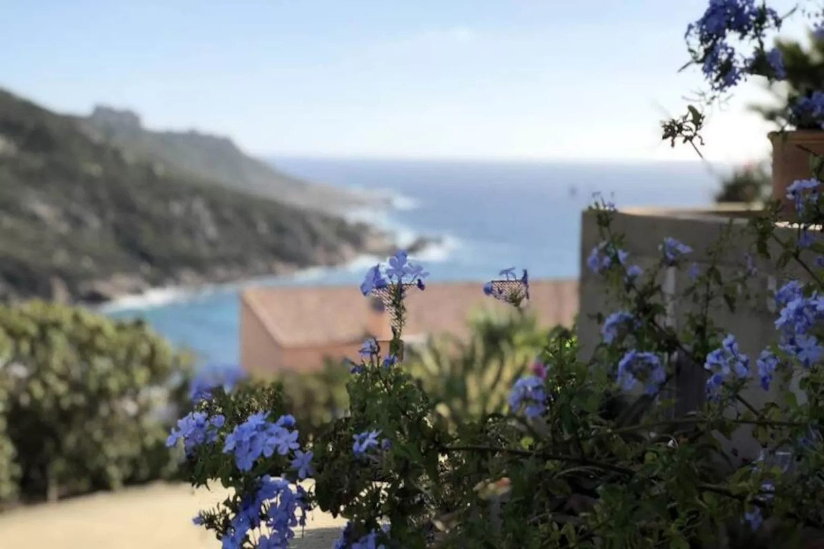 Résidence Sull001-sartene-Untagged