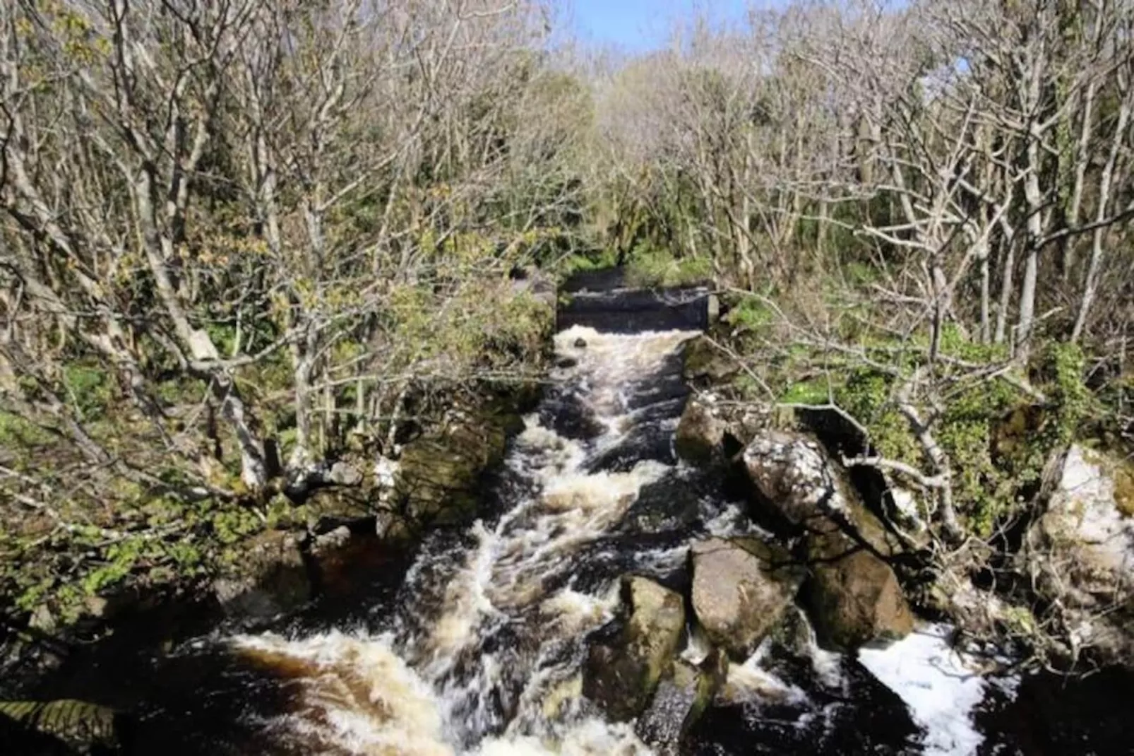 Mobil Home - Bungalow - Cottage à Spiddal Galway-Non tagué