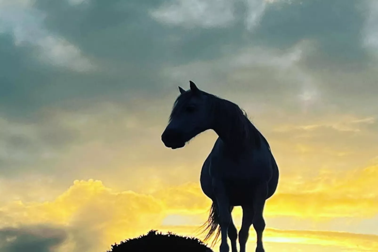 Mobil Home - Bungalow - Cottage à Ballyconneely Galway-Untagged