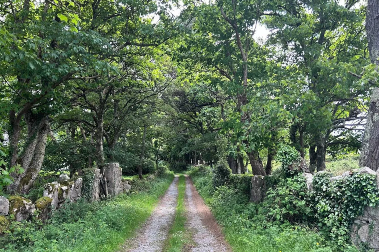 Maison à Rosmuck-Untagged