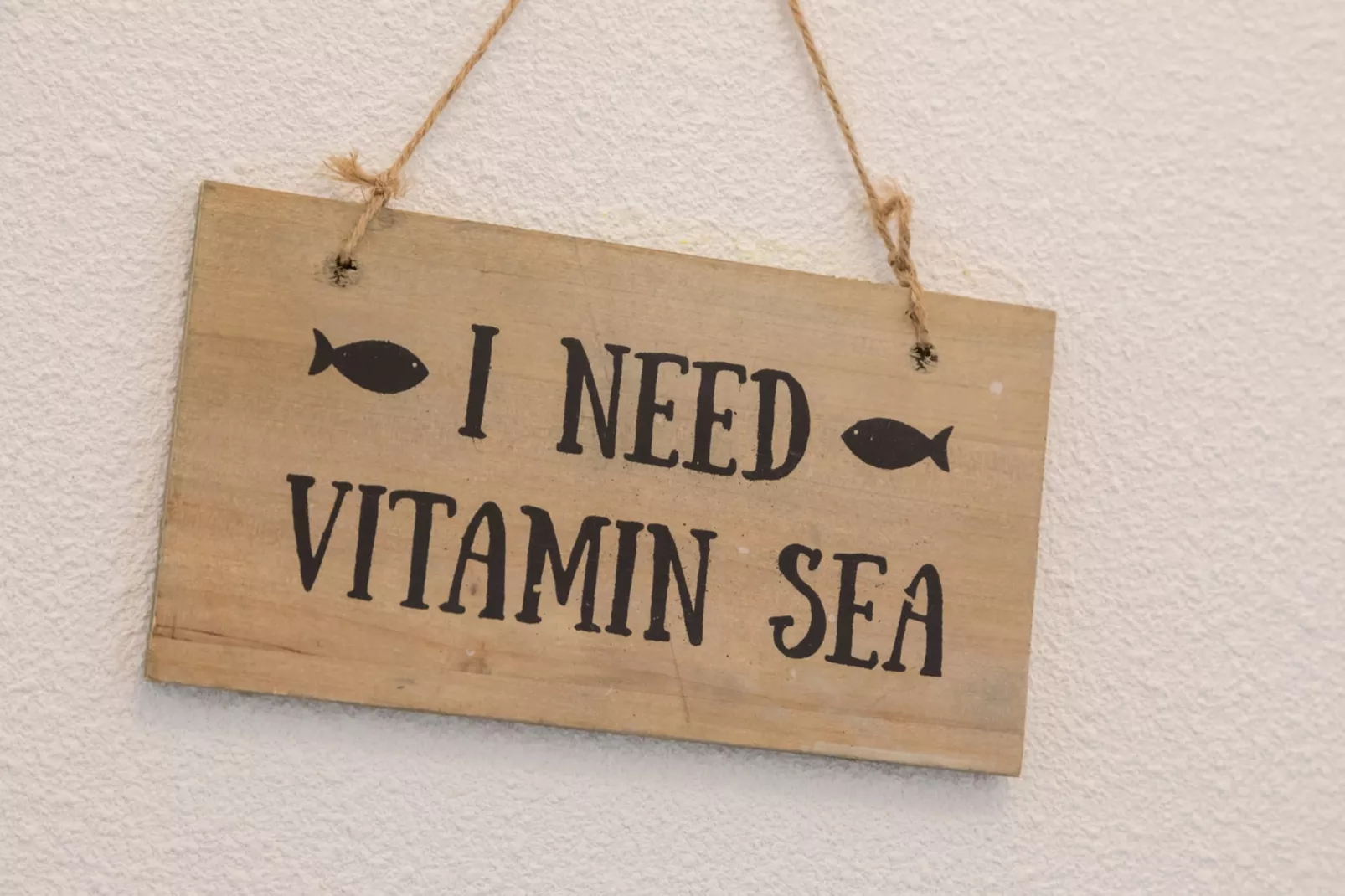 Appartement Duinhof Dishoek 13K - 6 personen de luxe-Untagged