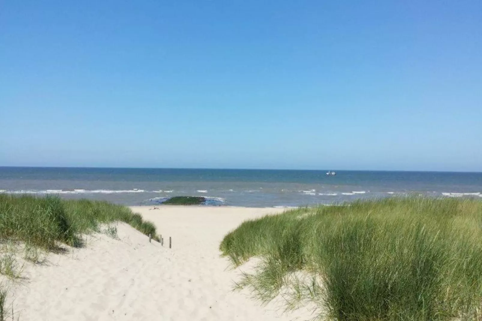 De Biotoop-Areas within 5km in summer