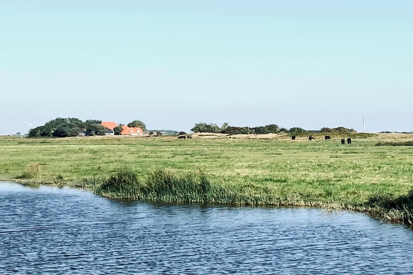 INFINITY-Areas within 5km in summer