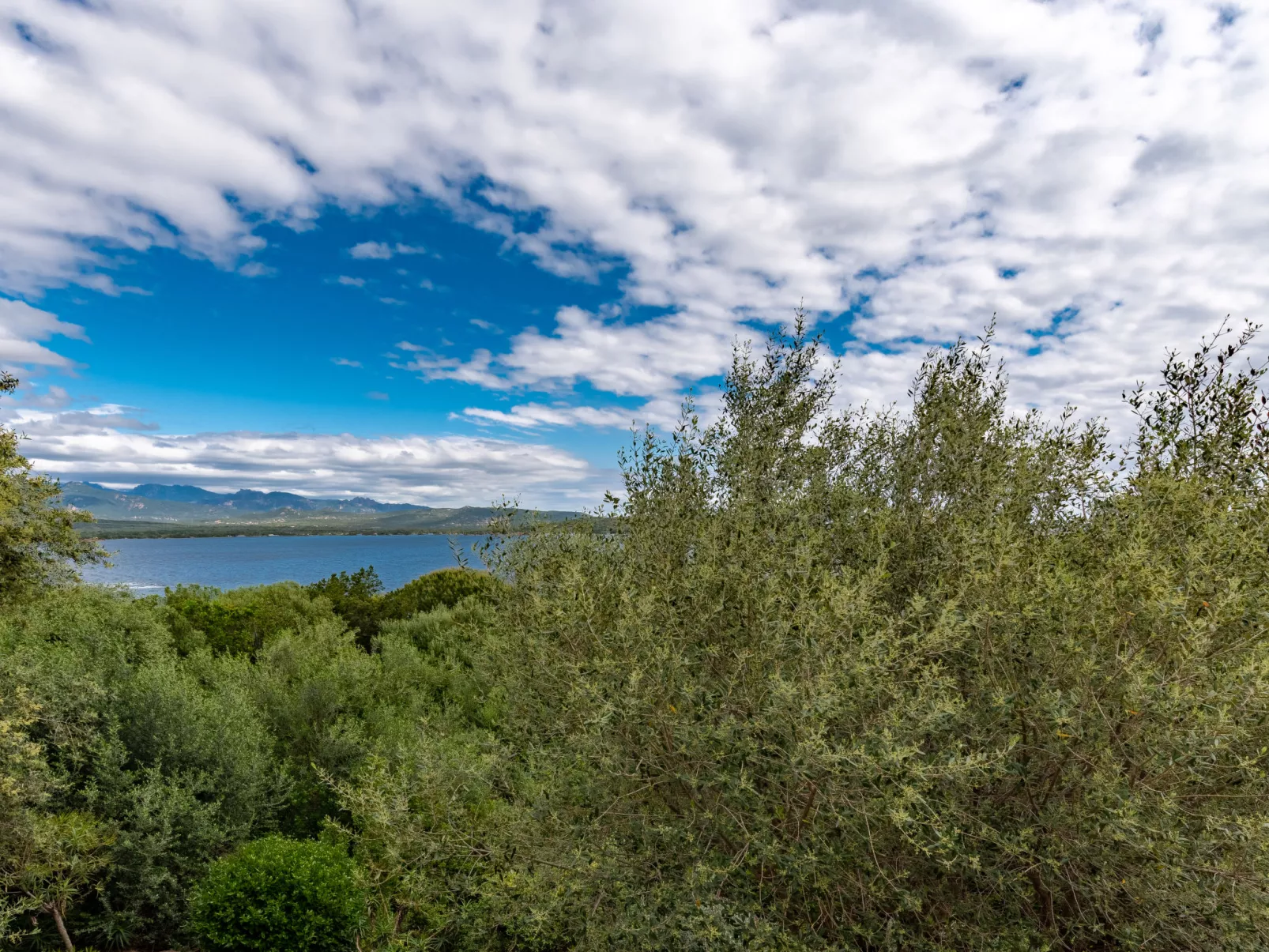Villa Pavellone-Outside