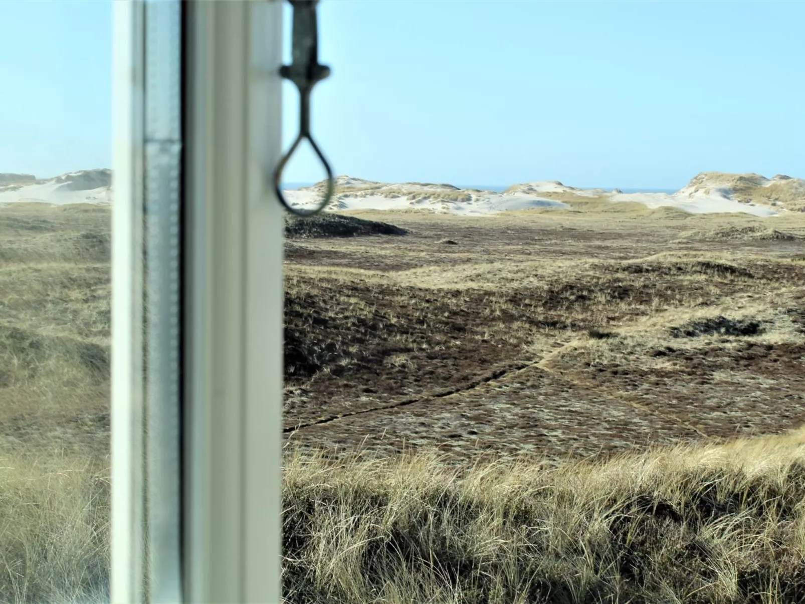 "Swanja" -  from the sea-Inside