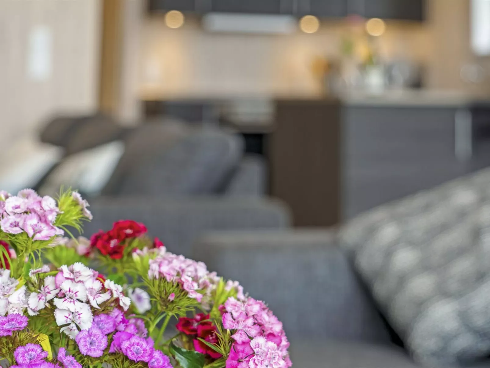 "Mavis" - 800m from the sea-Inside