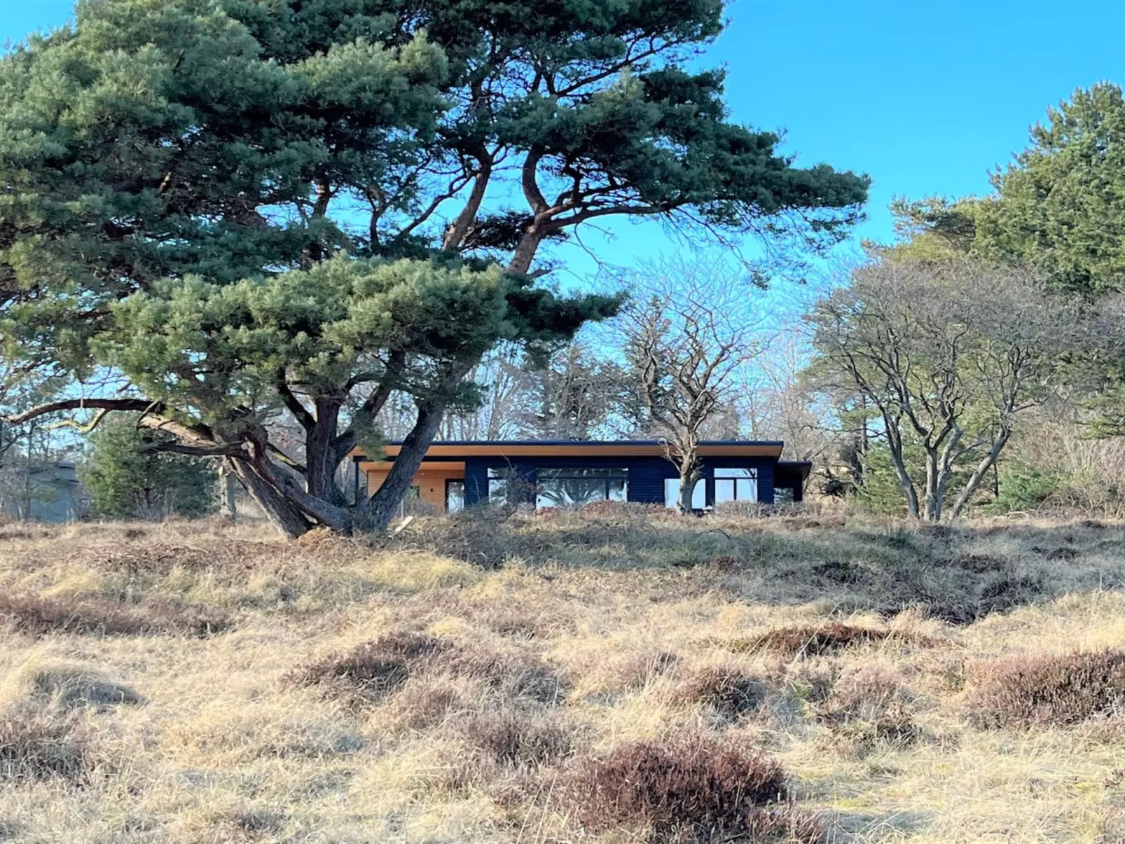 "Toska" - 100m to the fjord-Draußen