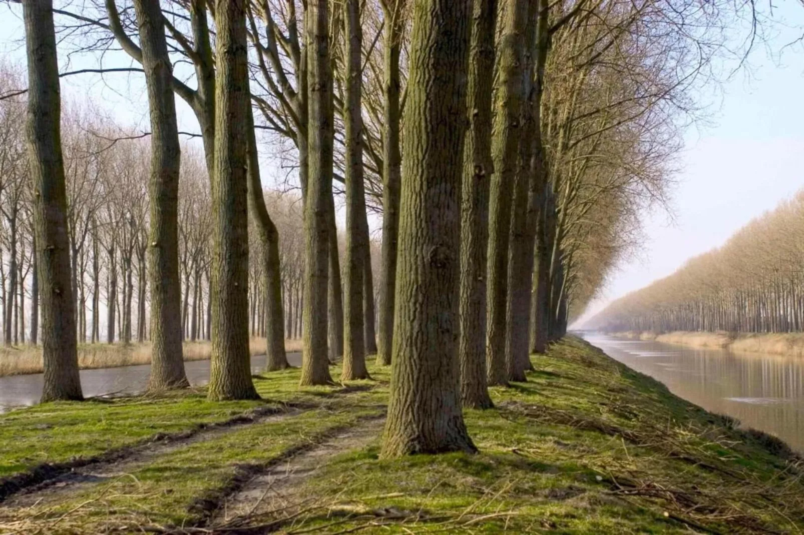 Manderley 0304-Areas within 20km in summer