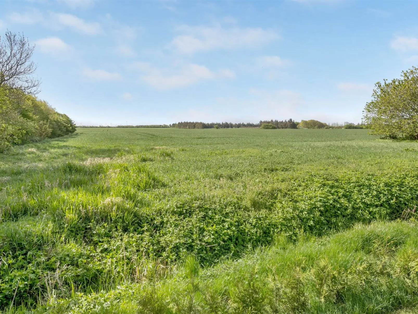 "Aliza" - 14km from the sea-Dehors