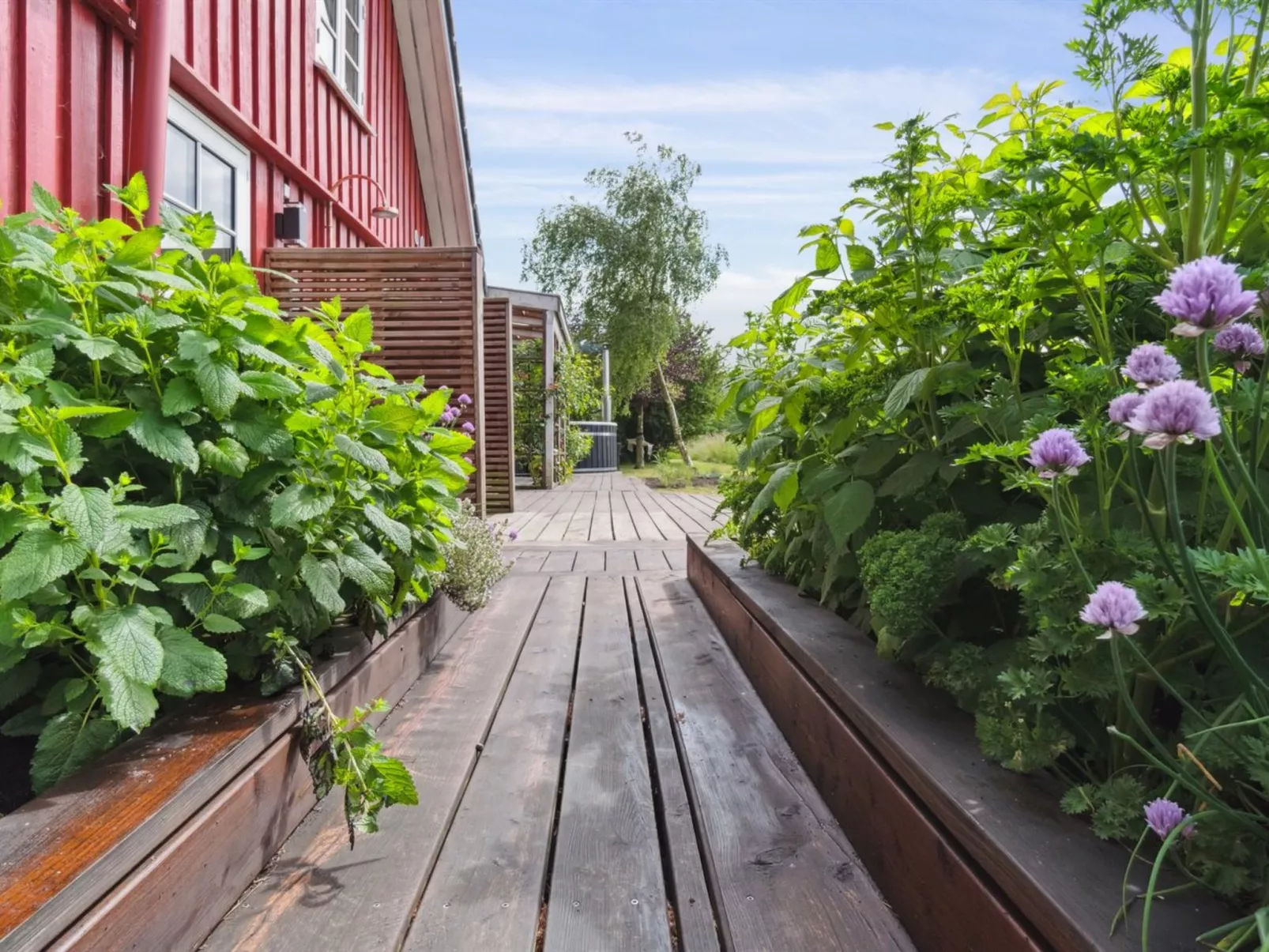 "Ieva" - 3.9km from the sea-Outside