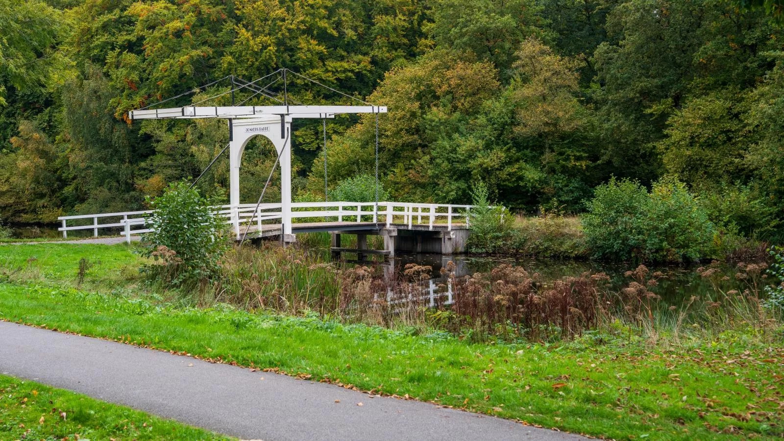 Rutershoeske-Areas within 1km in summer