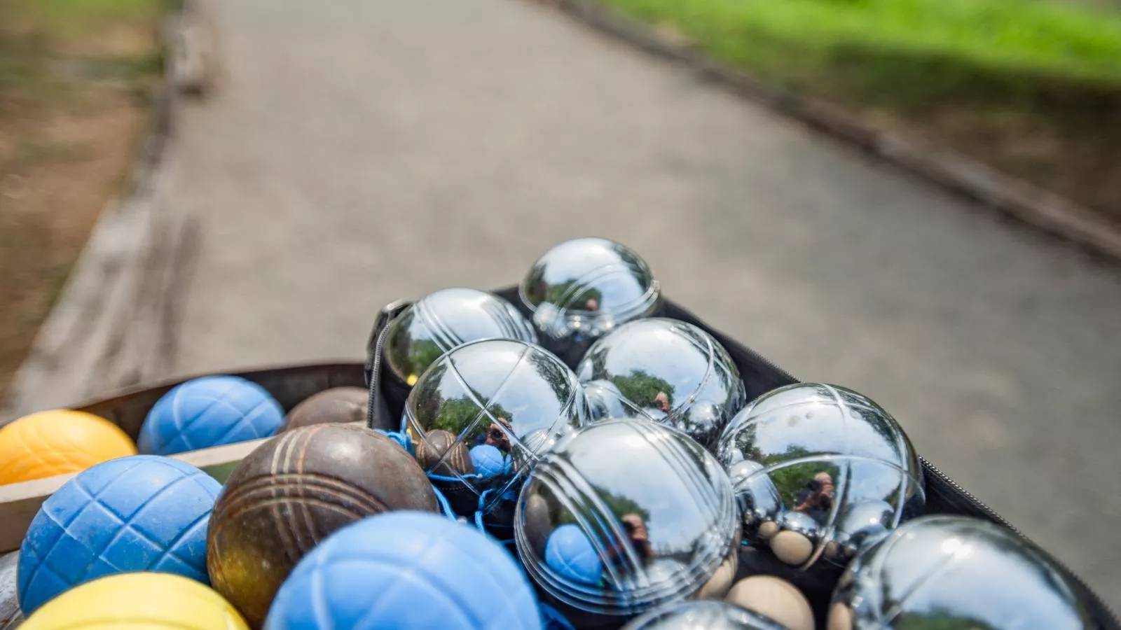 Tournesol-équipements