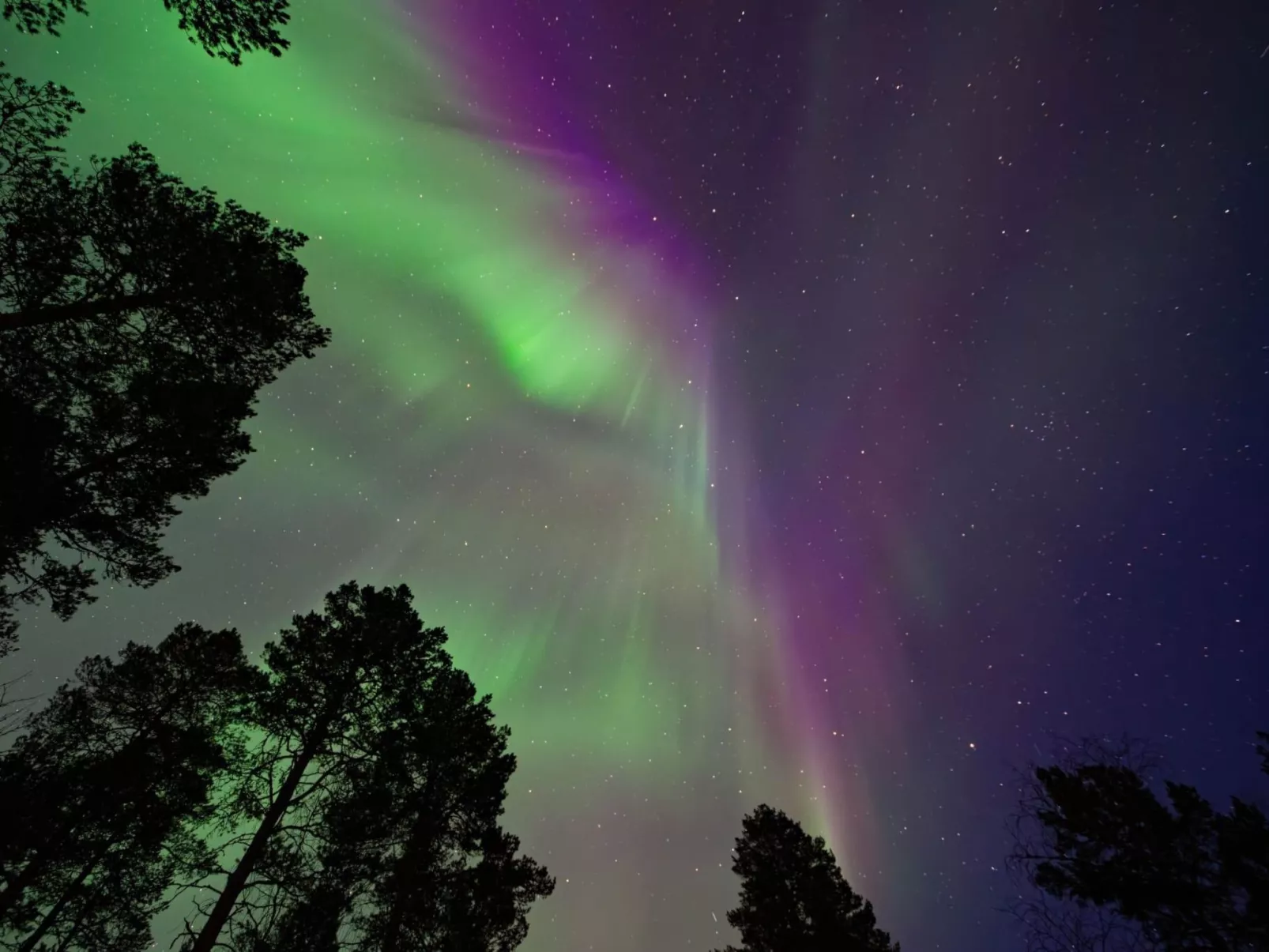Peurankuoppa-Drinnen