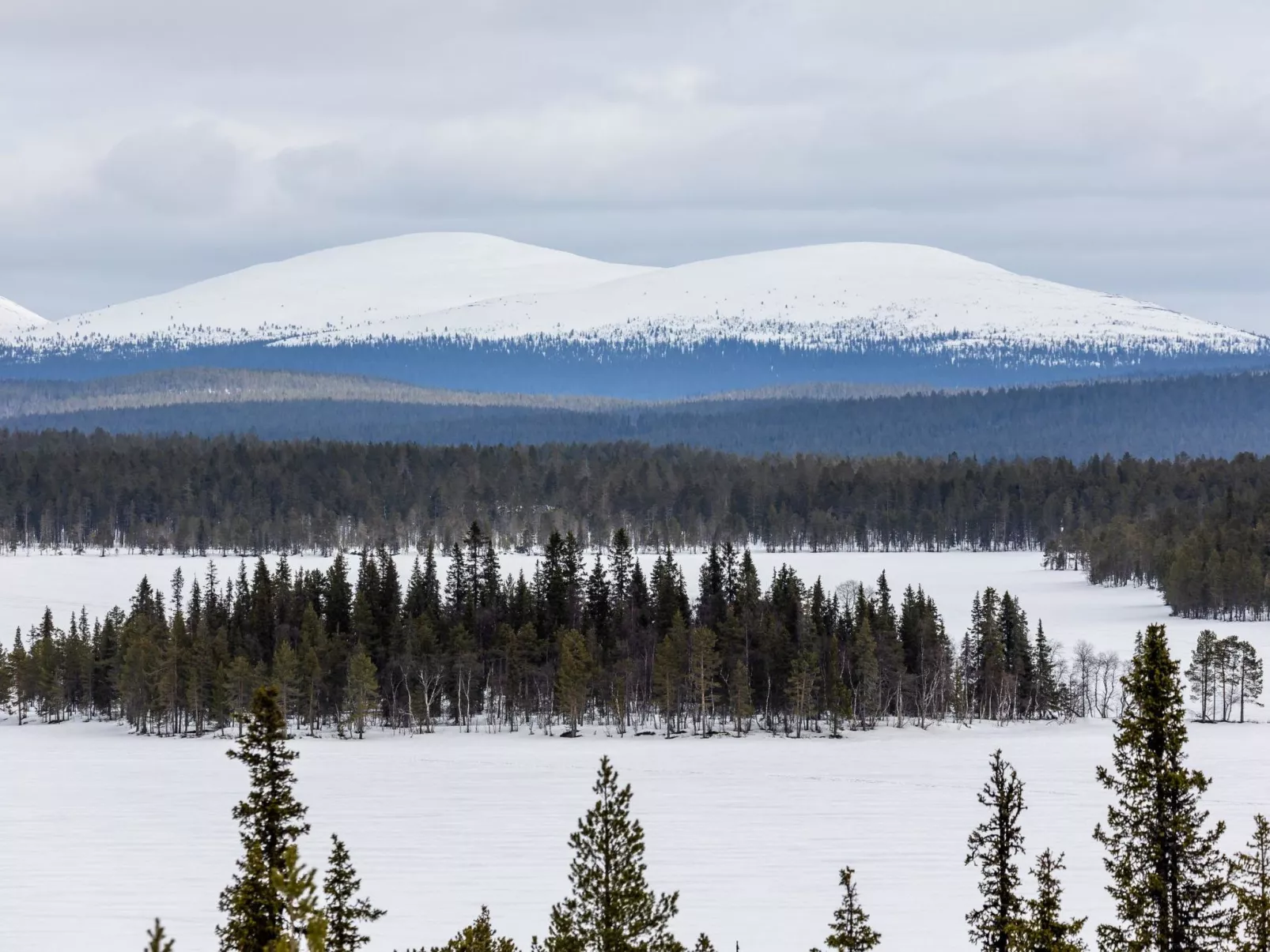 Lappi dream house-Inside