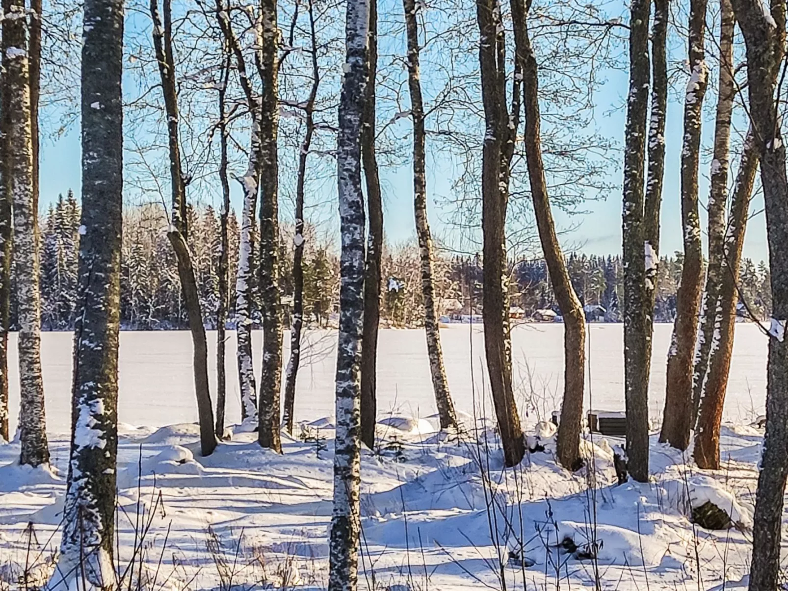 Annelinniemi-Drinnen