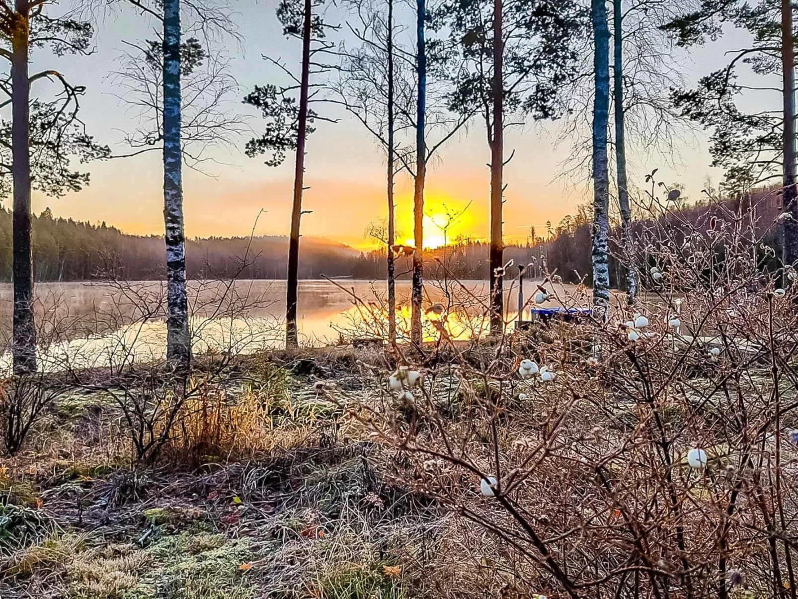 Villa ahomoisio-Drinnen