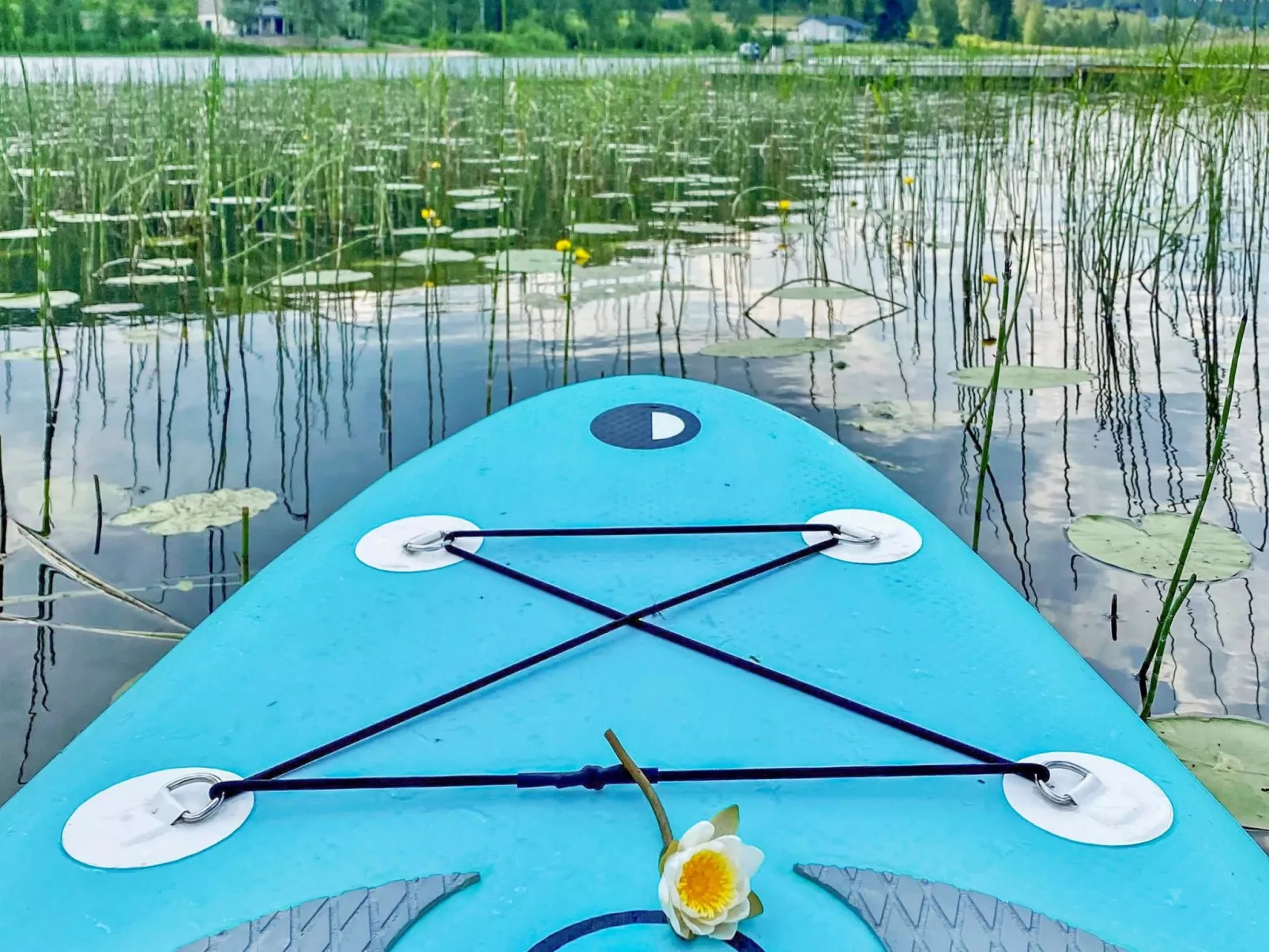 Nuppulanranta 14-Dedans