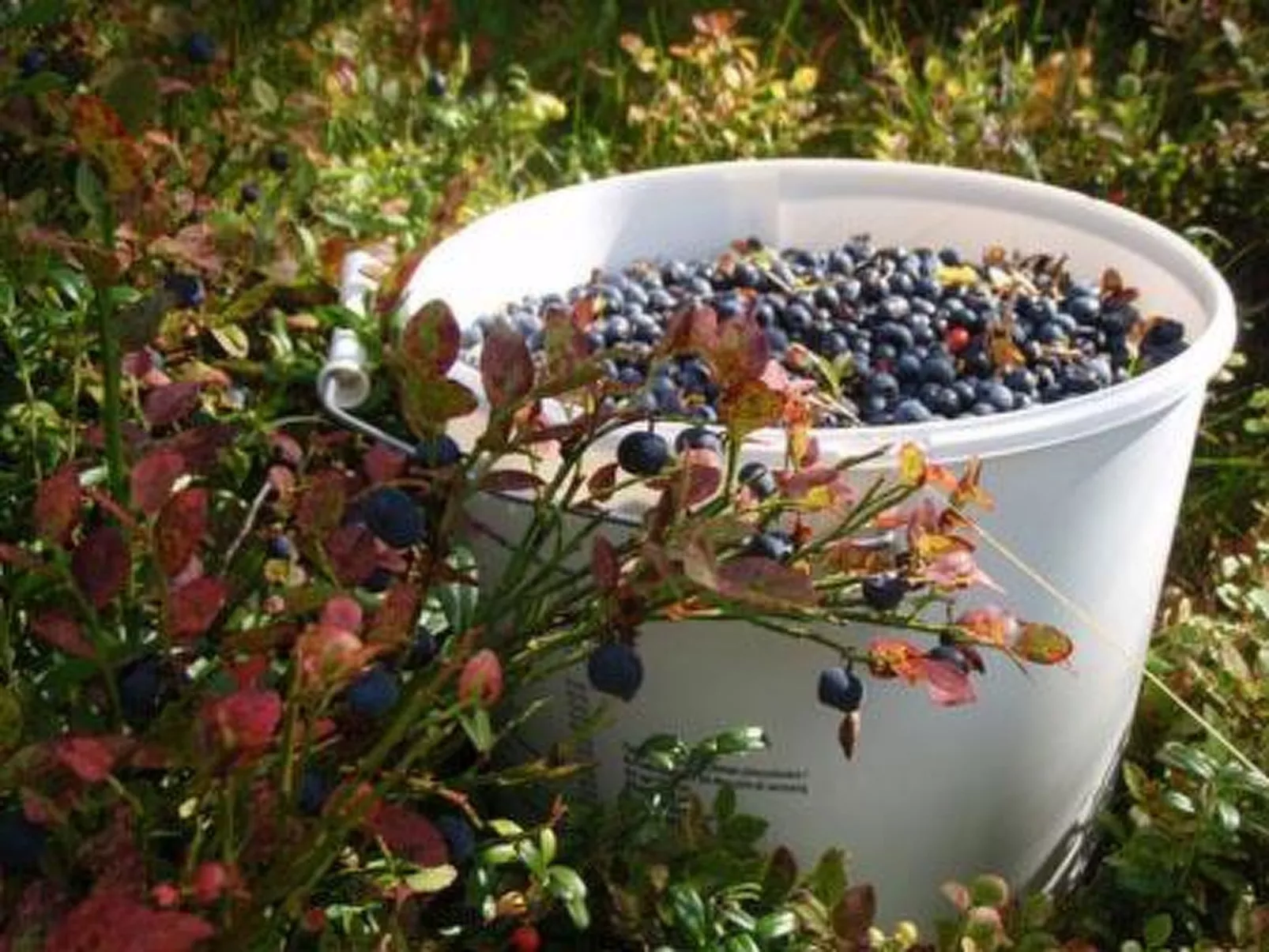 Vaaran loma-asunto-Dedans