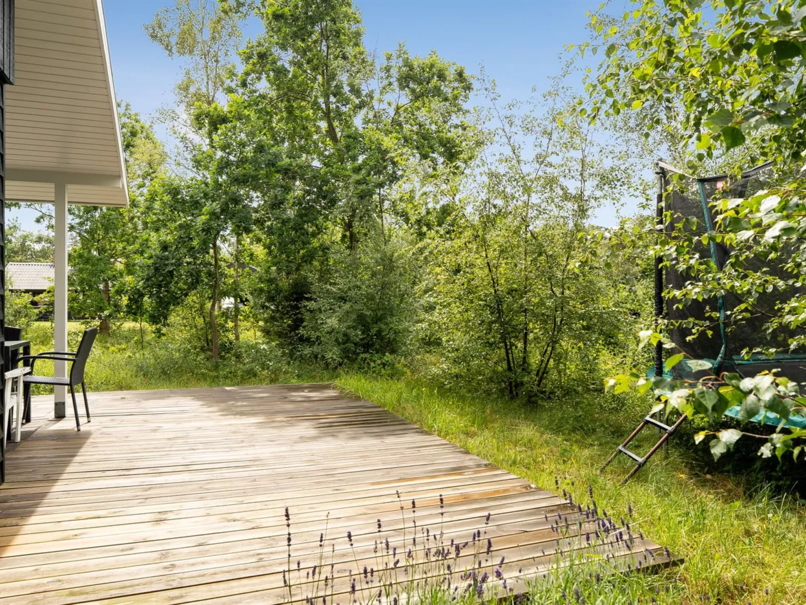 "Ivar" -  from the sea-Draußen