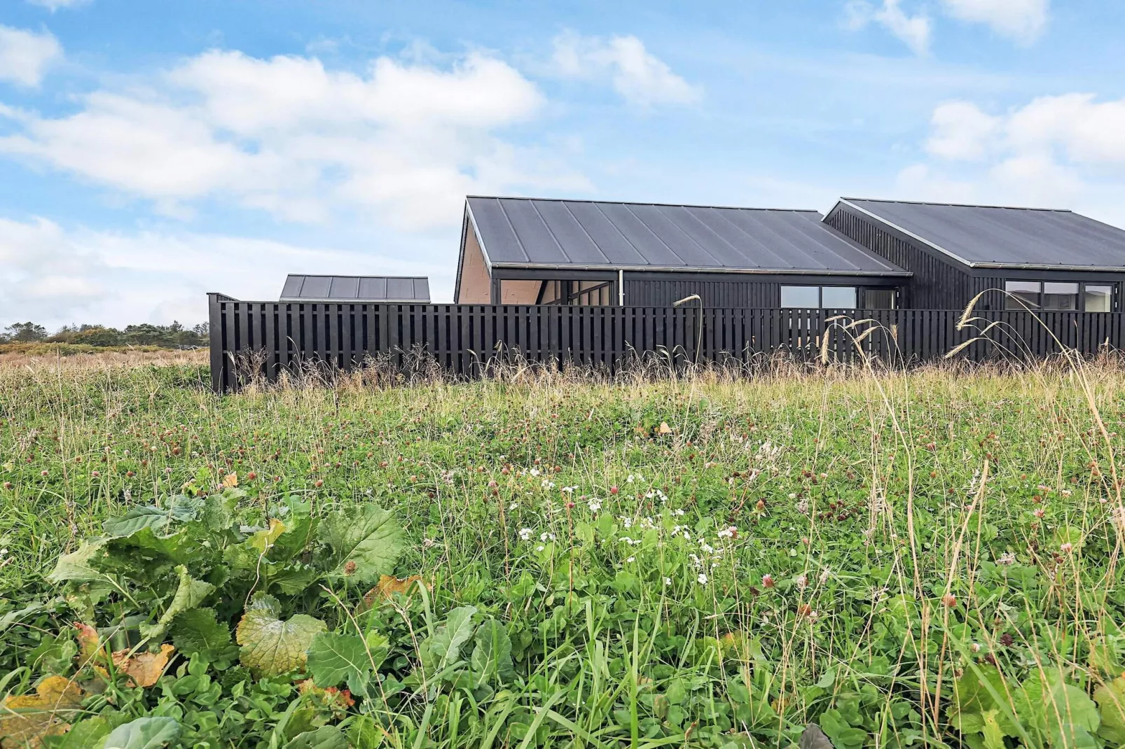 5 etoiles maison de vacances a Løkken-Vue