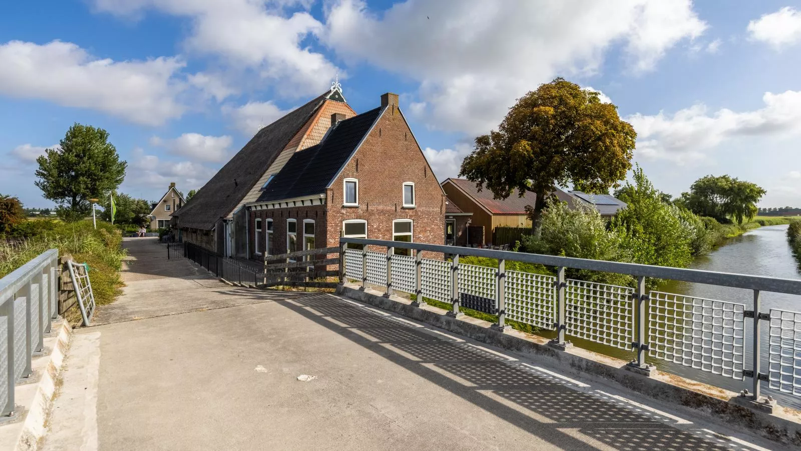 Groep in Friesland-Exterior in summer