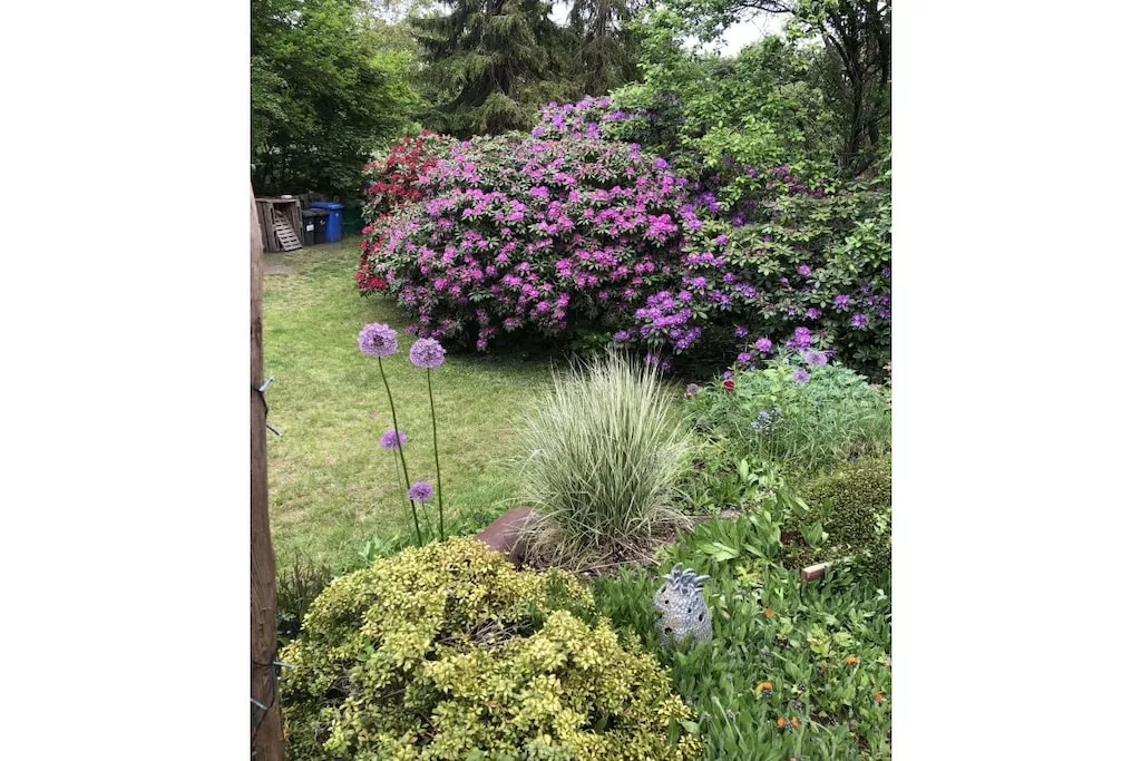 441274-Nicht zugeordnet