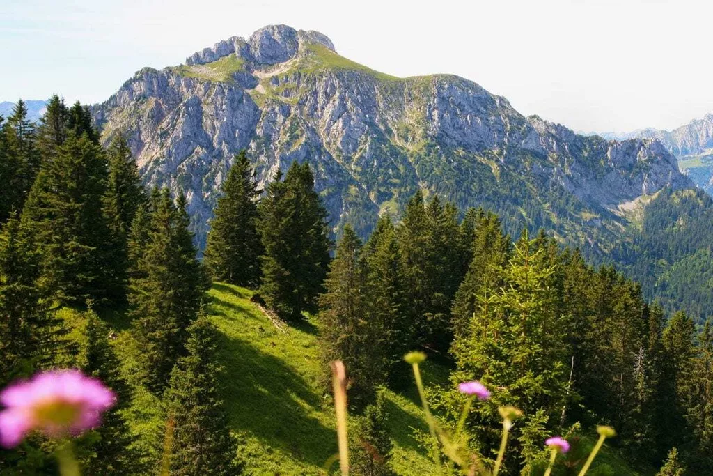 59980-Nicht zugeordnet